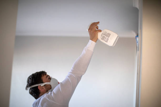Best Affordable Mold Removal  in Chesapeake, OH